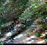 Fraser Island 4WD Tour from Rainbow Beach - ACT Tourism