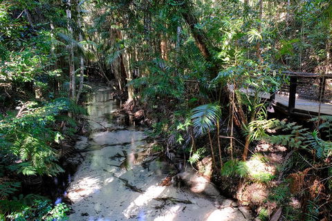 Fraser Island 4WD Tour From Rainbow Beach - ACT Tourism 0