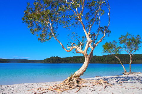 Fraser Island 4WD Tour From Rainbow Beach - ACT Tourism 5