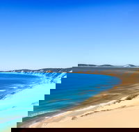 Kayak with Dolphins and 4WD Great Beach Drive Day Trip from Noosa - ACT Tourism