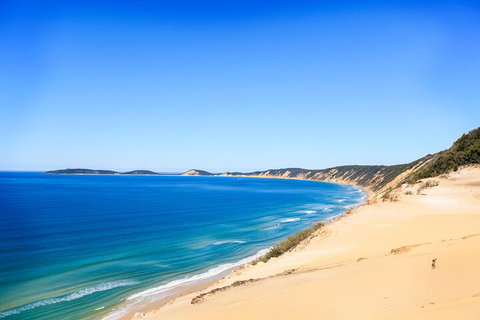 Kayak With Dolphins And 4WD Great Beach Drive Day Trip From Noosa - ACT Tourism 0