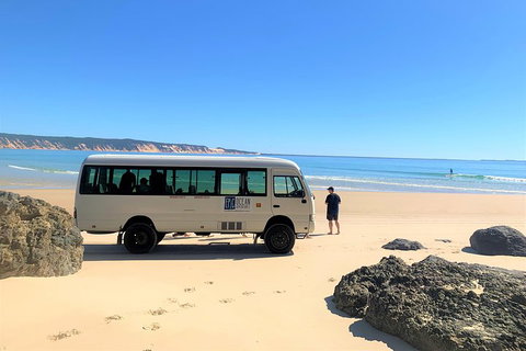 Kayak With Dolphins And 4WD Great Beach Drive Day Trip From Noosa - ACT Tourism 4