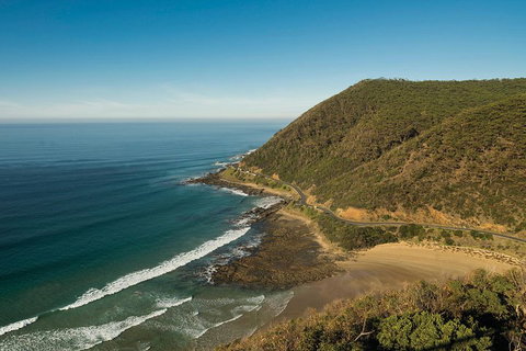 Great Ocean Road Adventure - Private Tour - Reverse - ACT Tourism 2