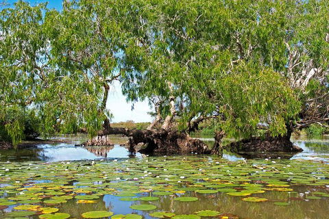 Ethical Adventures - Best In The WET - Litchfield / Kakadu 3 Day- Max 10 Guests - ACT Tourism 1