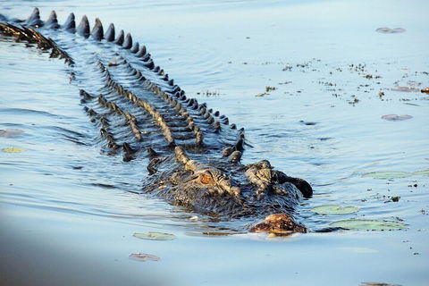Ethical Adventures - Best In The WET - Litchfield / Kakadu 3 Day- Max 10 Guests - ACT Tourism 4