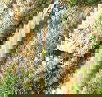 Private Tour - Rainforest  Waterfalls Extravaganza - ACT Tourism