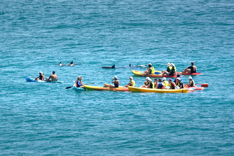 The Byron Bay Sea Kayak Tour - ACT Tourism 1