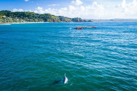 The Byron Bay Sea Kayak Tour - ACT Tourism 2