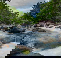 Cape Tribulation Day Tour - ACT Tourism