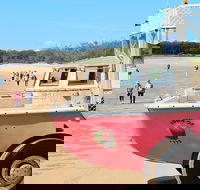 1770 Coastline Tour by LARC Amphibious Vehicle Including Picnic Lunch - ACT Tourism