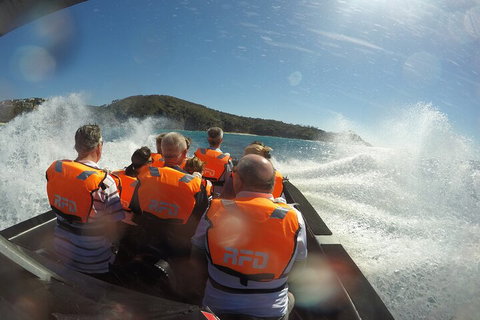 Noosa Thriller - 500hp Ocean Adventure Ride - ACT Tourism 3