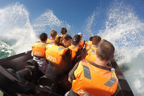 Noosa Thriller - 500hp Ocean Adventure Ride - ACT Tourism 4