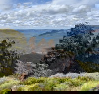 Blue Mountains Private Tour - wild kangaroos waterfalls and The Three Sisters - ACT Tourism
