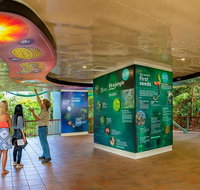 Skyrail  Kuranda Train Day Trip from Cairns - ACT Tourism