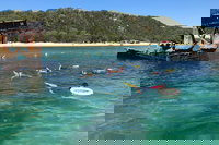 All Inclusive Dolphin and Tangalooma Wrecks Cruise, Brisbane