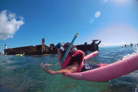 All Inclusive Dolphin And Tangalooma Wrecks Cruise - ACT Tourism 2