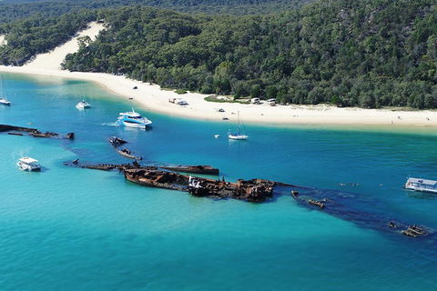 All Inclusive Dolphin And Tangalooma Wrecks Cruise - ACT Tourism 4