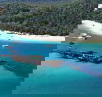 All Inclusive Tangalooma Wrecks Cruise Tour From Gold Coast - ACT Tourism