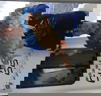 3/4 Day 7 Hour Offshore Fishing Charter - ACT Tourism