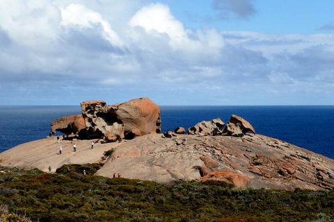 Kangaroo Island Personal Group Tours - ACT Tourism 5