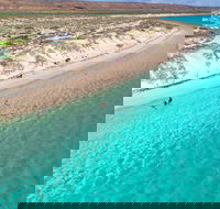 Ningaloo in a Day - Full Day Hike and Snorkel Tour with Lunch - ACT Tourism