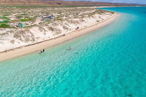 Ningaloo In A Day - Full Day Hike And Snorkel Tour With Lunch - ACT Tourism 0