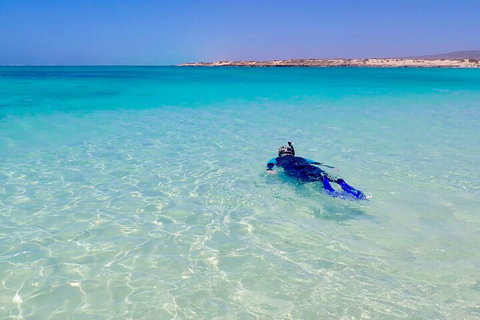 Ningaloo In A Day - Full Day Hike And Snorkel Tour With Lunch - ACT Tourism 4