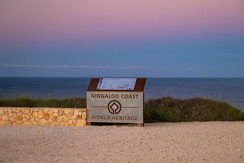 Ningaloo In A Day - Full Day Hike And Snorkel Tour With Lunch - ACT Tourism 5