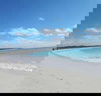 Shipwreck Special Nature Tour/Half Day Tour - ACT Tourism