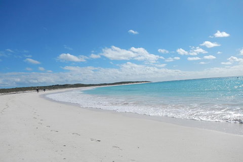 Shipwreck Special Nature Tour/Half Day Tour - ACT Tourism 0