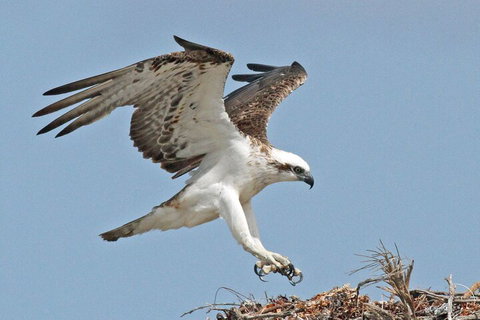 Shipwreck Special Nature Tour/Half Day Tour - ACT Tourism 4