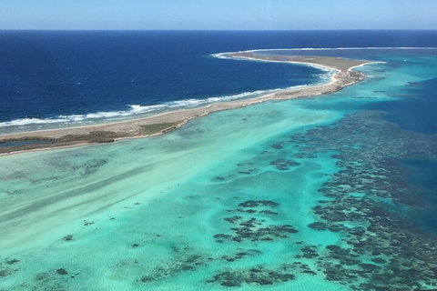 Pink Lake + Abrolhos Islands Nature Tour - ACT Tourism 2