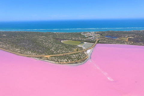 Pink Lake + Abrolhos Islands Nature Tour - ACT Tourism 4