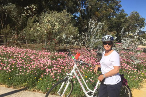 Perth Bike Tour - Beautiful Matilda Bay And Kings Park - ACT Tourism 1