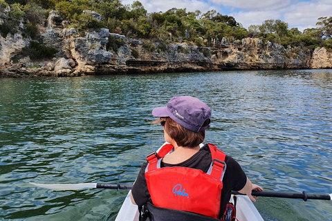 Cliffs And Caves Kayak Tour In Swan River - ACT Tourism 0