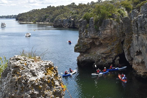 Cliffs And Caves Kayak Tour In Swan River - ACT Tourism 5