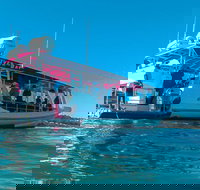 Best of Moreton Bay Cruise - ACT Tourism