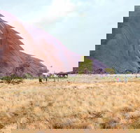 Uluru Sunrise and Guided Base Walk - ACT Tourism