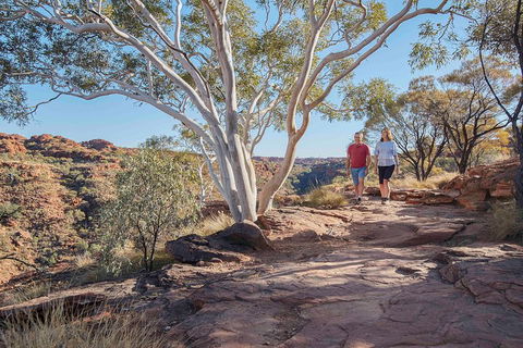 3-Day Tour From Uluru (Ayers Rock) To Alice Springs Via Kings Canyon - ACT Tourism 1