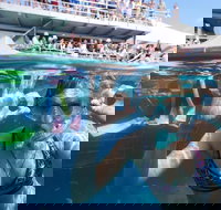 Great Barrier Reef Day Cruise from Cairns Including Snorkeling and Marine Biologist Presentation - ACT Tourism