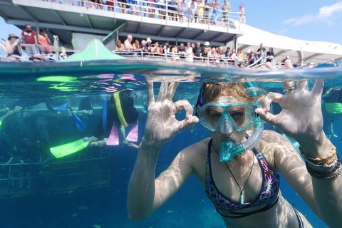 Great Barrier Reef Day Cruise From Cairns Including Snorkeling And Marine Biologist Presentation - ACT Tourism 0