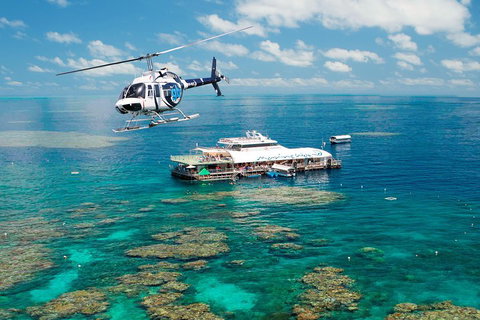 Great Barrier Reef Day Cruise From Cairns Including Snorkeling And Marine Biologist Presentation - ACT Tourism 5