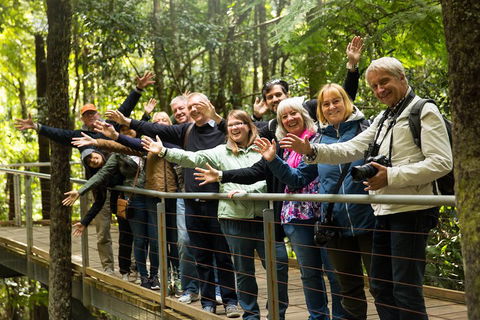 All Inclusive Blue Mountains Small-Group Day Trip From Sydney - ACT Tourism 5