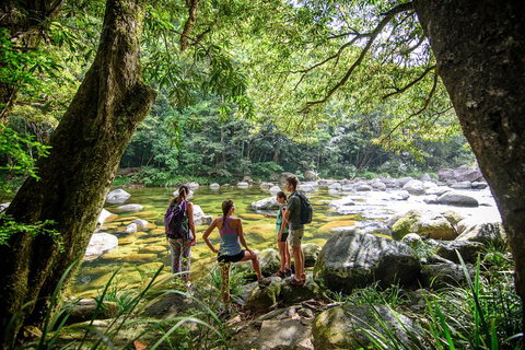 Private Daintree Mossman Gorge Exclusive Nature And Wildlife Focus - ACT Tourism 5