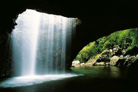 Natural Bridge & Springbrook Waterfalls Tour - ACT Tourism 0