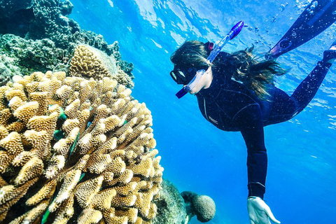 Green Island Day Trip From Cairns - ACT Tourism 1