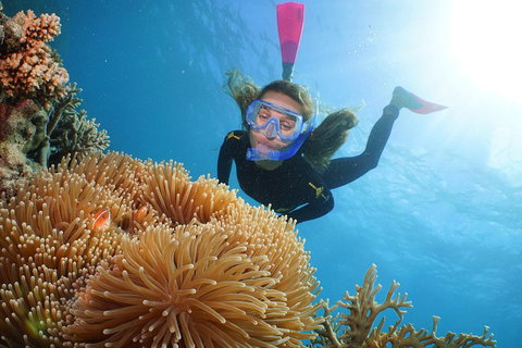Quicksilver Outer Great Barrier Reef Snorkel Cruise From Port Douglas - ACT Tourism 2