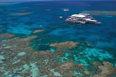 Quicksilver Outer Great Barrier Reef Snorkel Cruise From Port Douglas - ACT Tourism 3