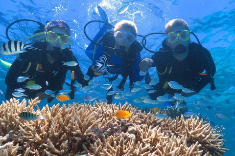 Quicksilver Outer Great Barrier Reef Snorkel Cruise From Port Douglas - ACT Tourism 4