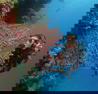 Silversonic Outer Great Barrier Reef Dive and Snorkel Cruise from Port Douglas - ACT Tourism